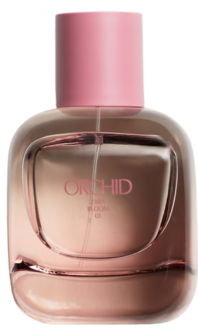 Zara Orchid EDP 90 ml Kadın Parfümü kullananlar yorumlar